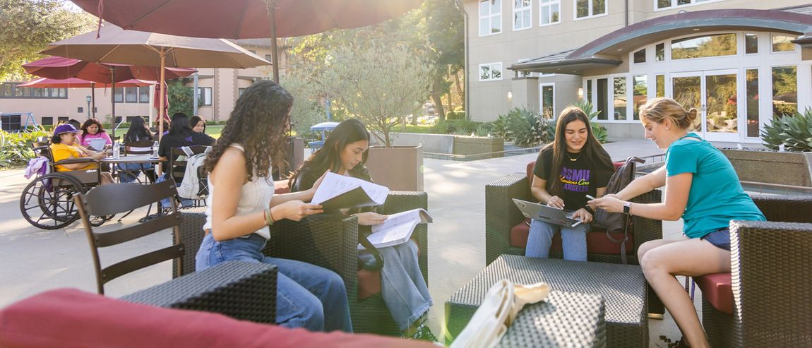 Students sitting outside studying together