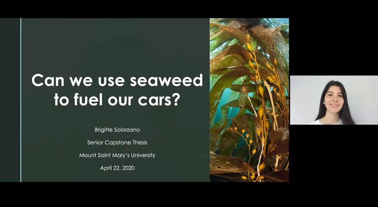 Brigitte Solorzano - Senior Capstone Project