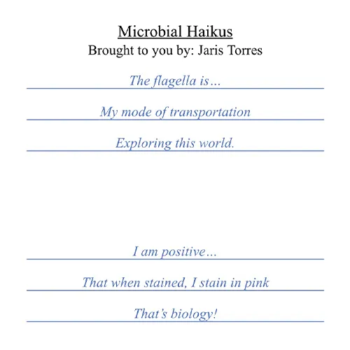 An assignment in Stacey Peterson's class required that students write about biological topics in haiku, a Japanese poetry form of three lines of 5, 7 and 5 syllables, consecutively.