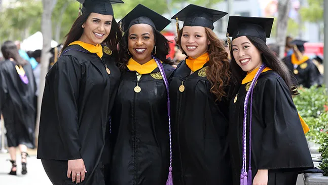 Six degrees of separation: Networking and mentoring within the community is made easier through Mount Connect