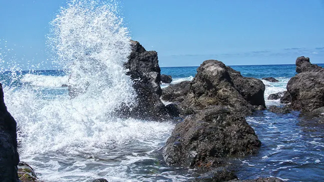 We need to protect not just what can be seen in the photo but also the ocean depths.