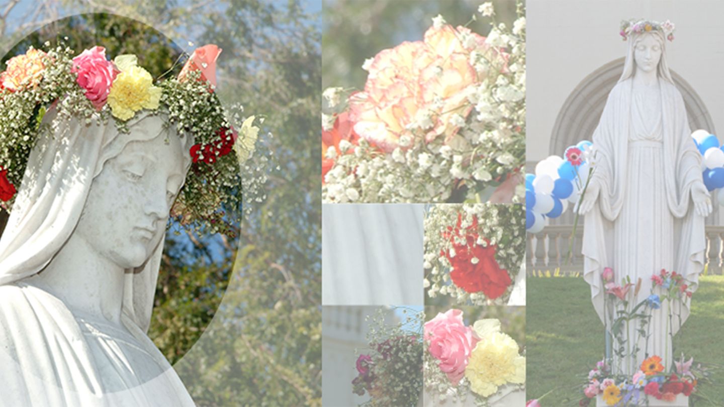 Mary status banner