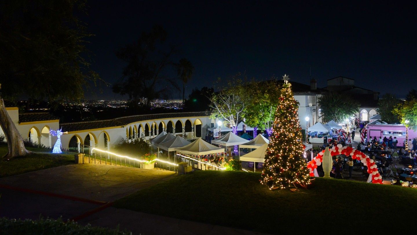 night shot of Chalon campus with the lit-up christmas tree
