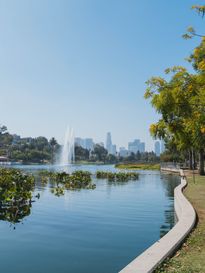 pond with trees around and downtown los angeles buildings in the background