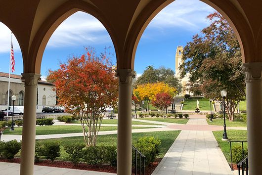 Arches at the Chalon Campus