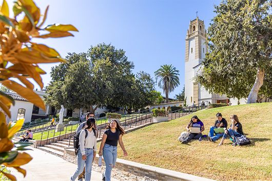 Students walking and sitting on chalon lawn