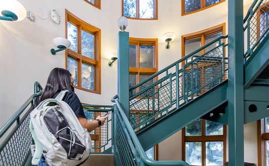 Students going up the stairs