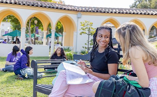 Students studying outdoors at the Circle