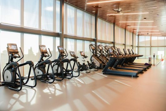 treadmills and exercise equipment in the wellness pavilion