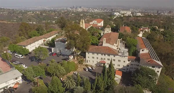 Bold Bright Strong Listing Image