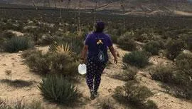 Into the Divide Listing Image