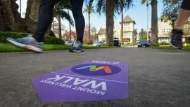 Wellness Walk Listing Image