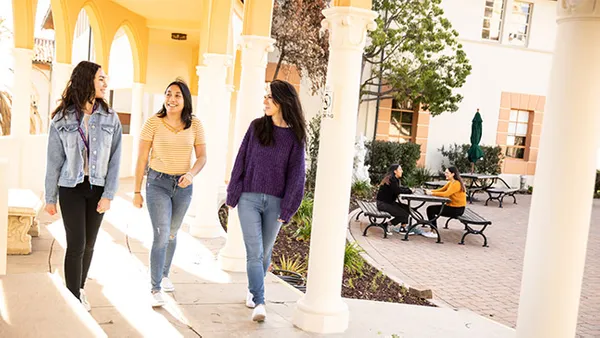 Nitche.com Safety Listing Image