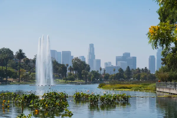 A shot of downtown LA from Echo Park
