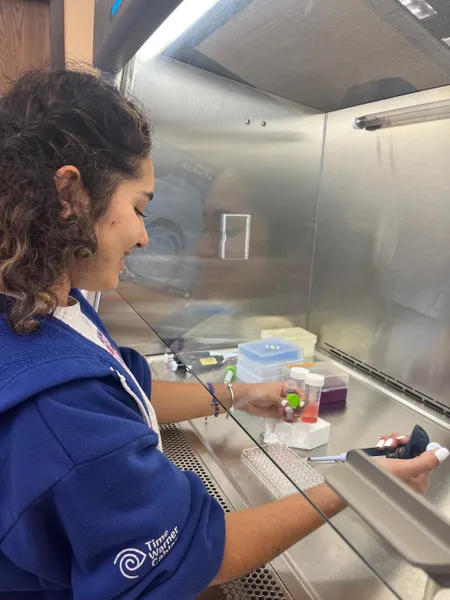 A student doing experiments in a lab